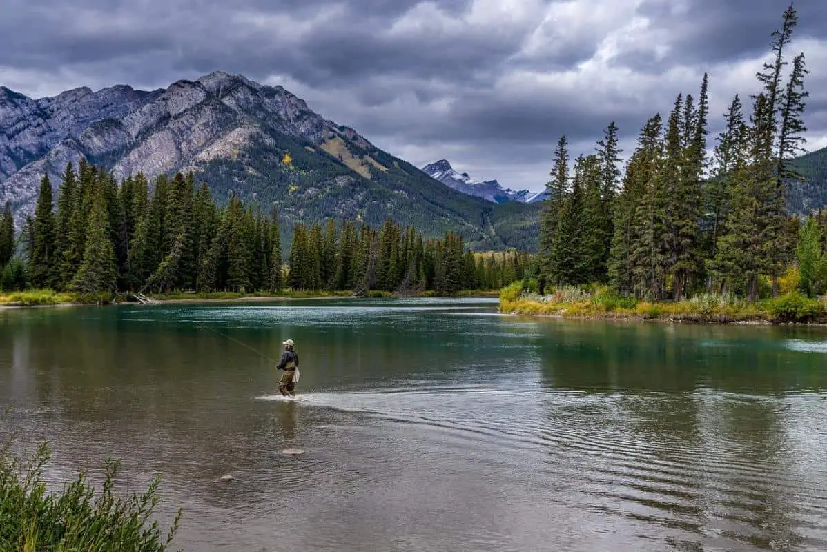 Bow River Fly Fishing