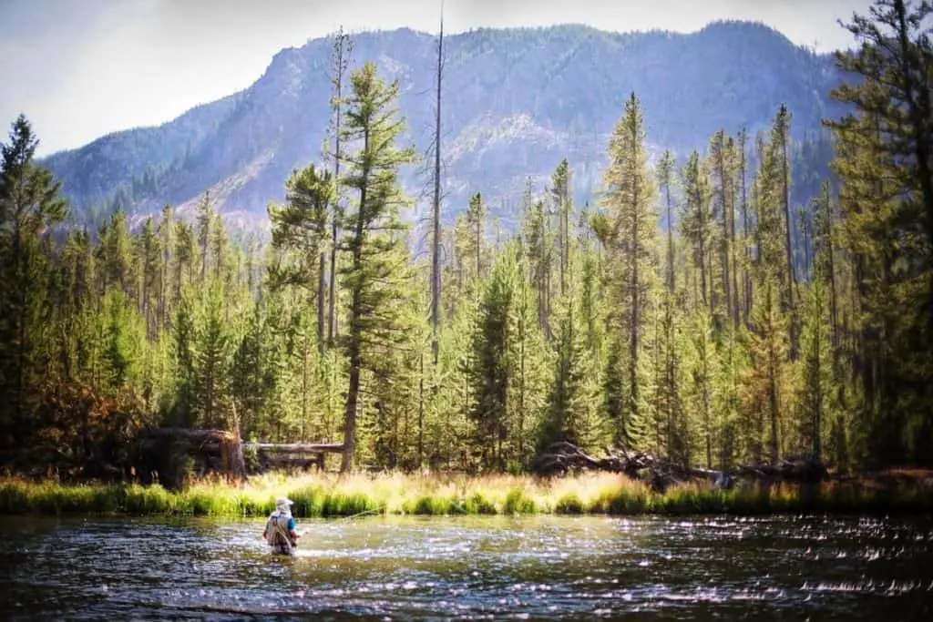 Fishing in the Rockies