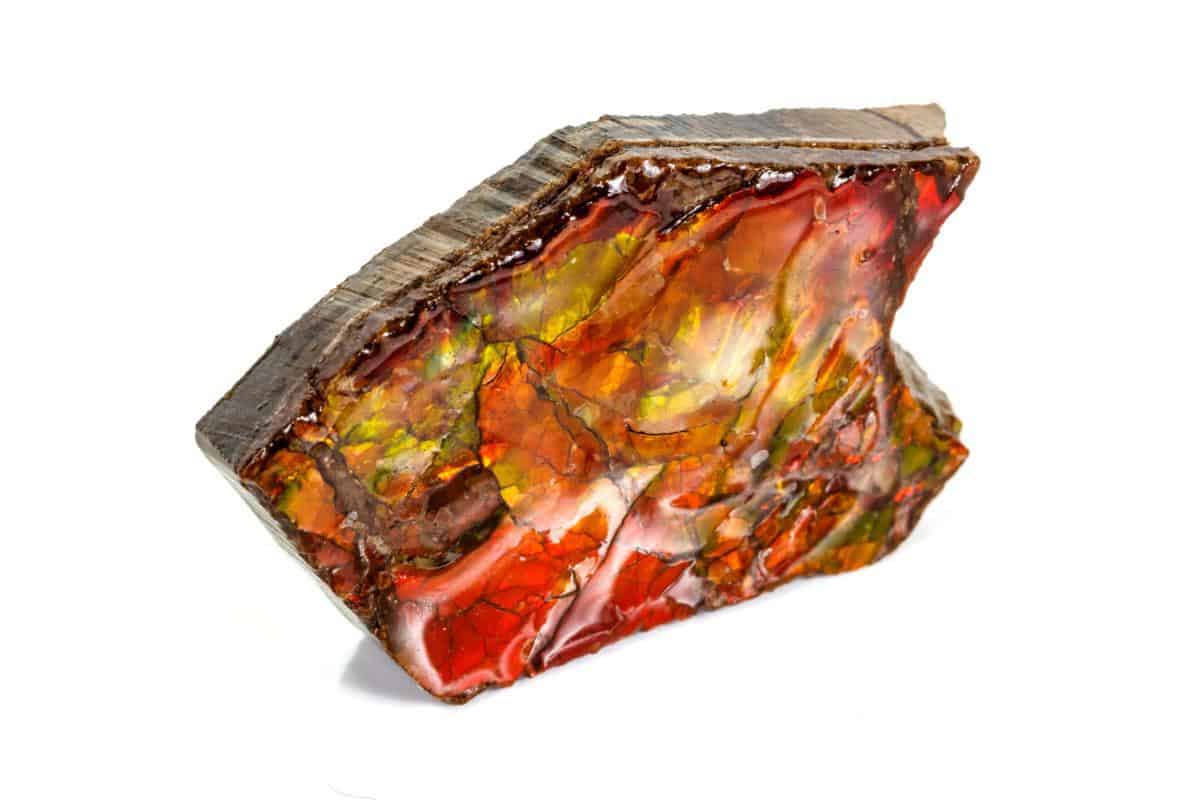 Ammolite Banff