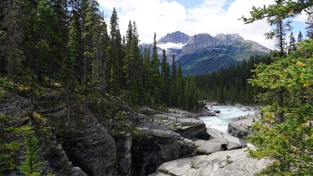 Short Hikes Icefields Parkway: 13 Trails to Savor – Park Pilgrim