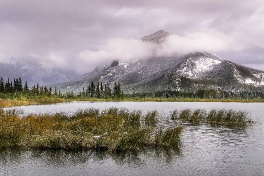 Rain in Banff National Park