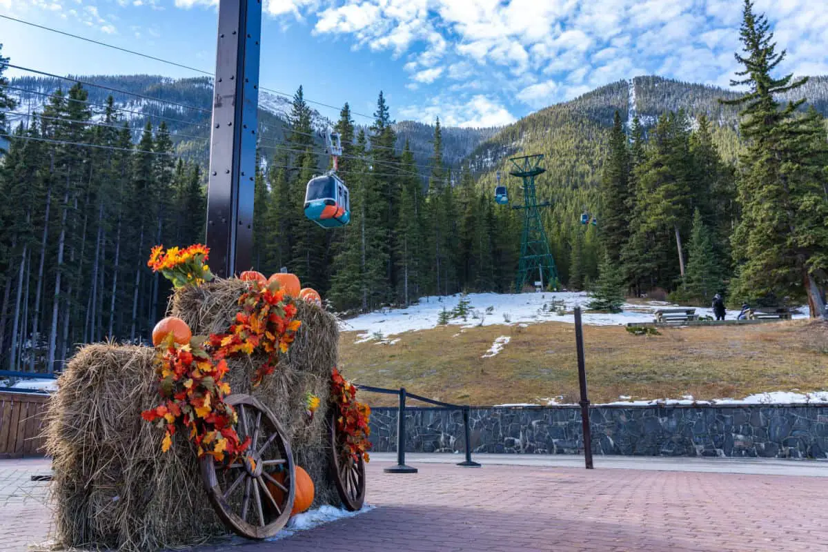 A rock clad in pumpkins for Halloween near the Banff Gondola