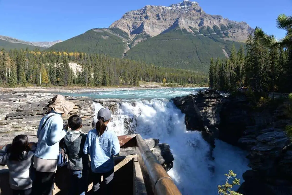 Family at the Sunwapta Falls on the Icefields Parkway