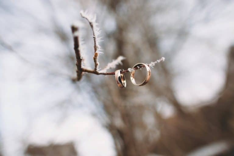 Wedding rings on a branche in the snow in Banff