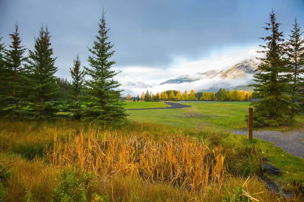 Mist hangs over the Banff Springs Golf Course in the fall