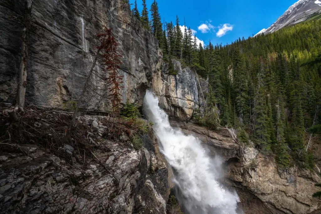 The Panther Falls near the Big Bend on the Icefields Parkway in Banff National Park