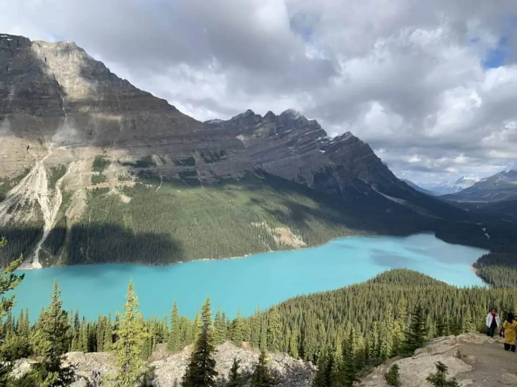 Stunning Peyto Lake near the Icefields Parkway in Banff National Park