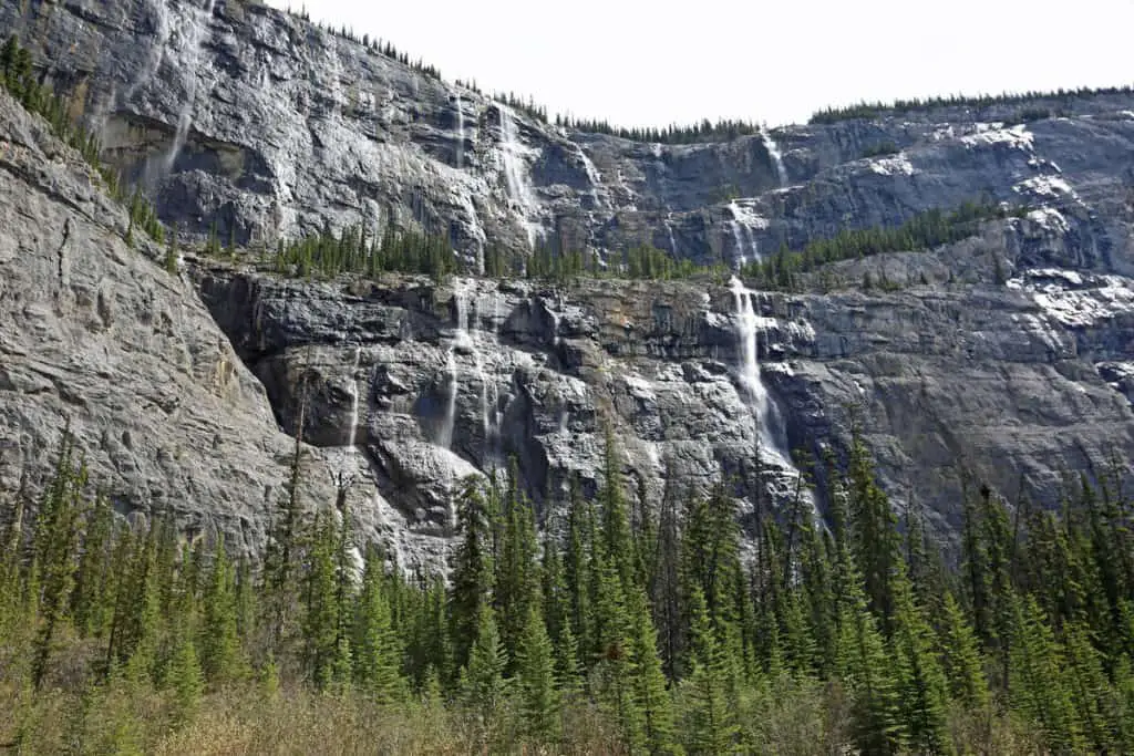 The water of several waterfalls plunges down the Weeping Wall along the Icefields Parkway
