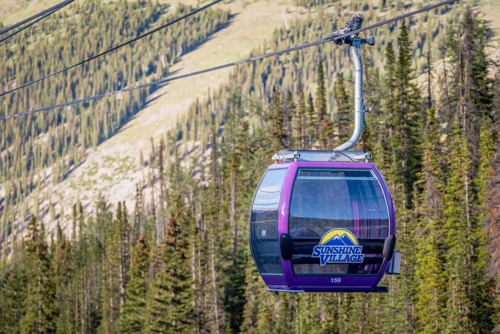 The Sunshine Village Gondola in Banff soaring over tree tops on its way to the summit