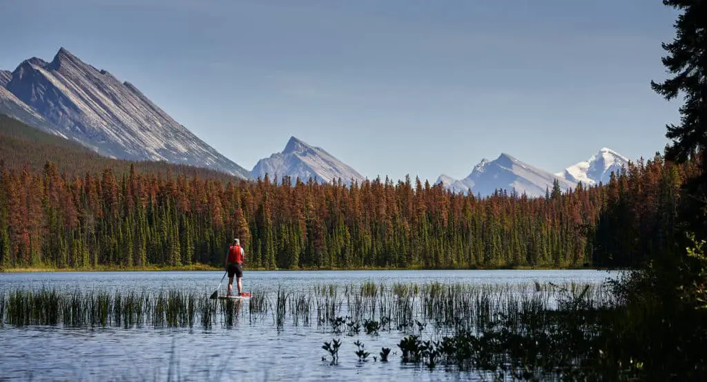 A lonely man on a stand-up paddle board on a lake in Banff National Park