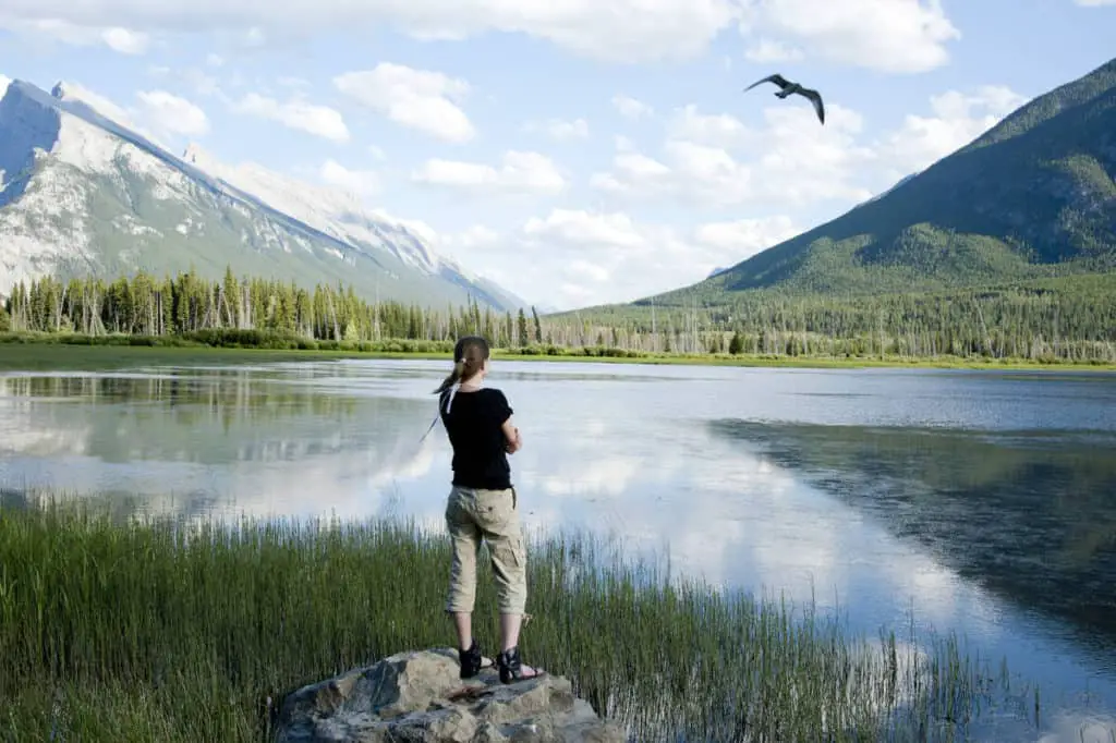 A woman watching over Vermilion Lakes in Banff while a bird dominates the sky with Mount Rundle in the background on the left