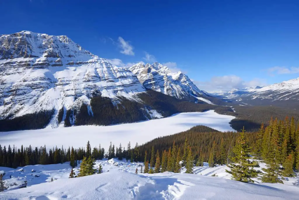 A snow-covered Peyto Lake under a clear sky along the Icefields Parkway in Banff National Park in March