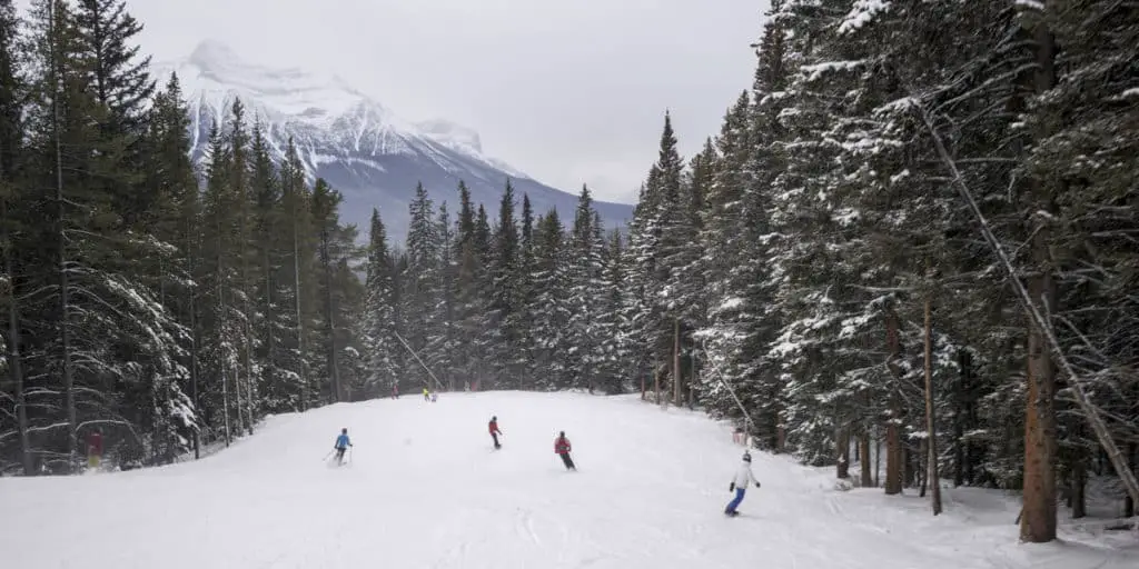 A group of skiers, surrounded by trees, speeding down a wide slope at Lake Louise Ski Resort
