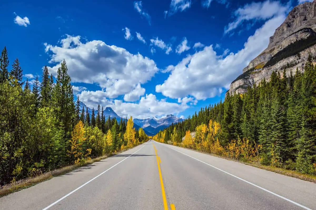 Fall colors have emerged on a deserted Icefields Parkway in Banff National Park in September