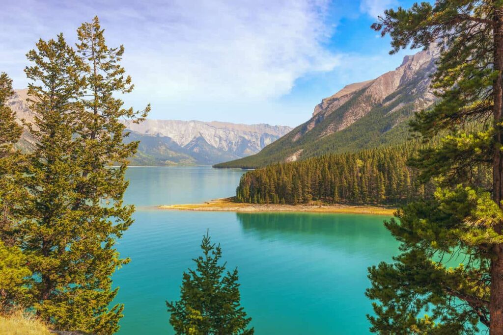 View through the trees of Lake Minnewanka in Banff National Park