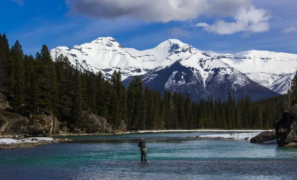 A man is fly fishing in the Bow River in Banff, the snowy mountains loom high above