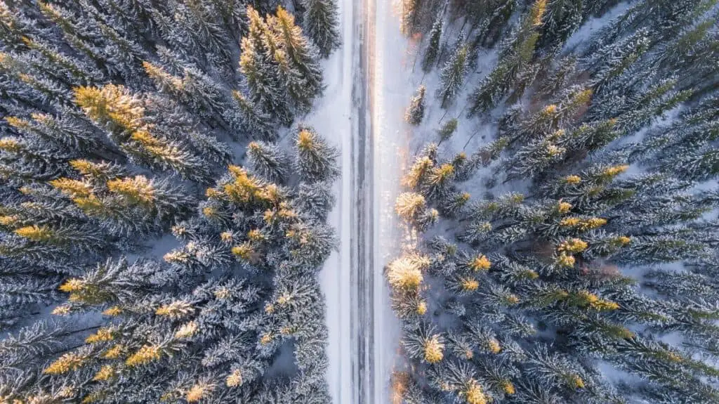 Aerial view of a road through a snowy forest in January in Banff National Park
