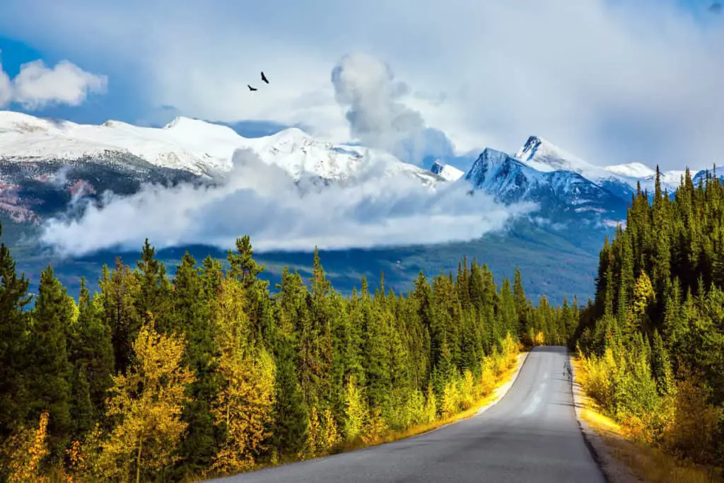 A storm cloud is ominously hanging above snow-capped mountain peaks with a sunny road in the foreground in Banff National Park in September