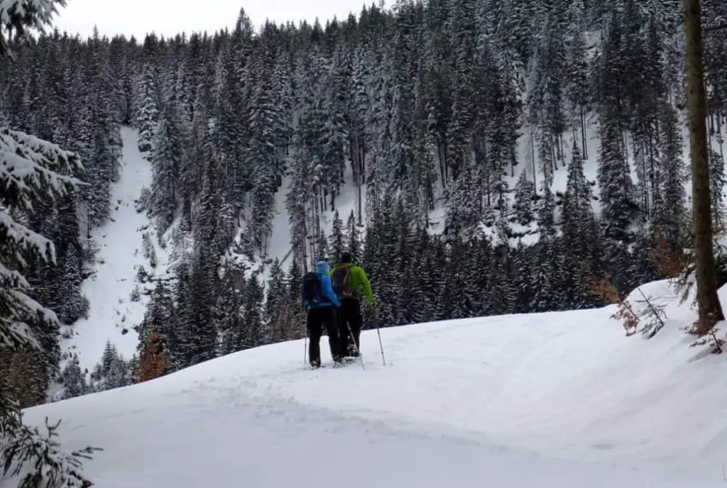Two people snowshoeing in Banff's backcountry while overlooking a small valley