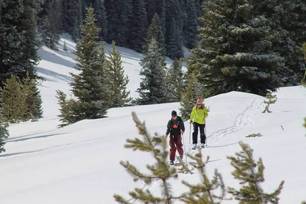 Two women skiing cross-country in the deep snow of wintry Banff National Park