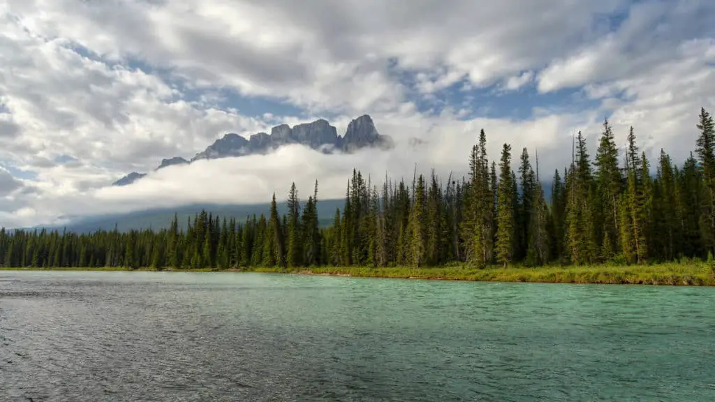 Clouds hover over a pine tree forest near Castle Mountain in Banff; the Bow River is in the foreground
