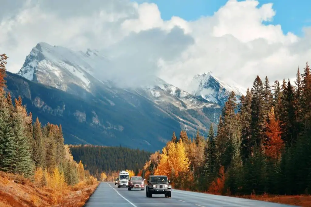 Cars on the Icefields Parkway between Lake Louise and Jasper during fall, with colorful trees lining the highway and mountains dominating the background. 