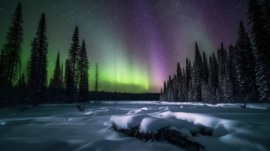 The northern lights in the sky above a forest in the Canadian Rocky Mountains in winter. Lots of snow covers the ground. 