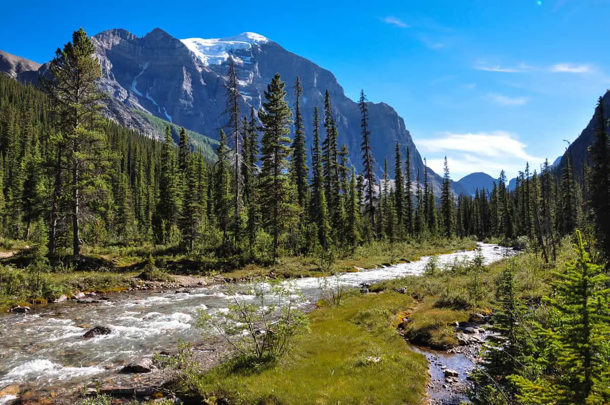 Banff Park Passes Your Burning Questions Answered (2024) Park Pilgrim