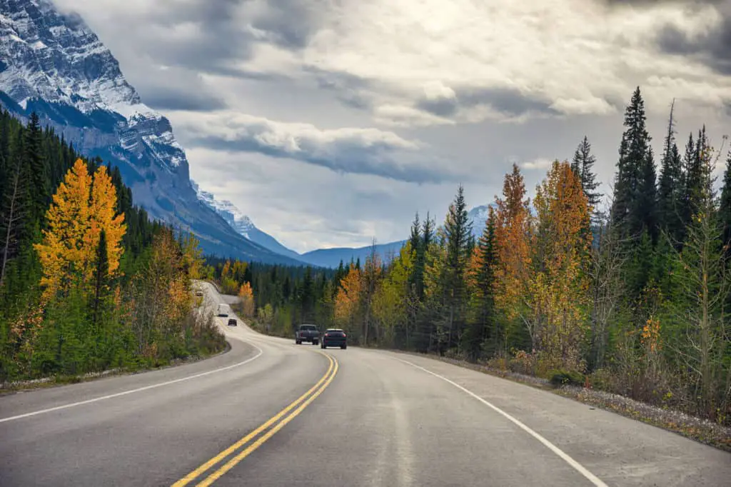 Cars driving on the Icefields Parkway in Banff National Park among autumn forests 