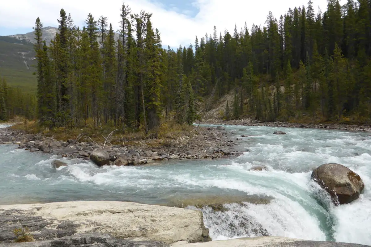 Island in the Mistaya River with water crushing down into Mistaya Canyon in Jasper National Park