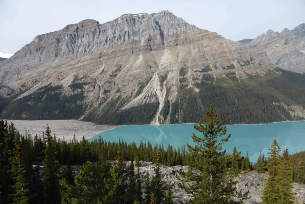 The turquoise waters of Peyto Lake seen from the viewpoint along the Icefields Parkway