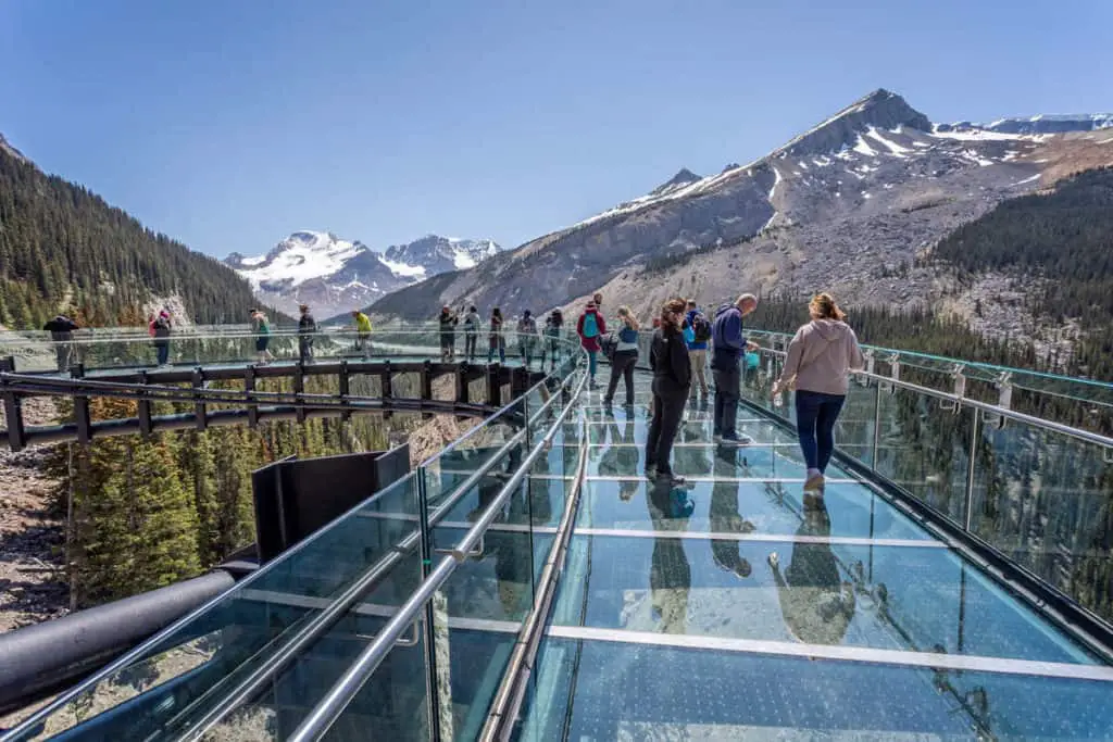 People walk on the glass surface of the Columbia Icefield Skywalk in Jasper National Park