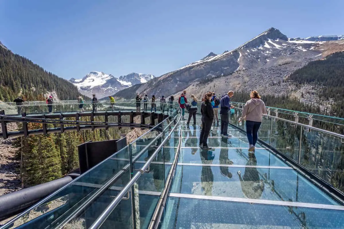 Banff Glacier Tours 7 Great Ways To Admire The Icefields Park Pilgrim