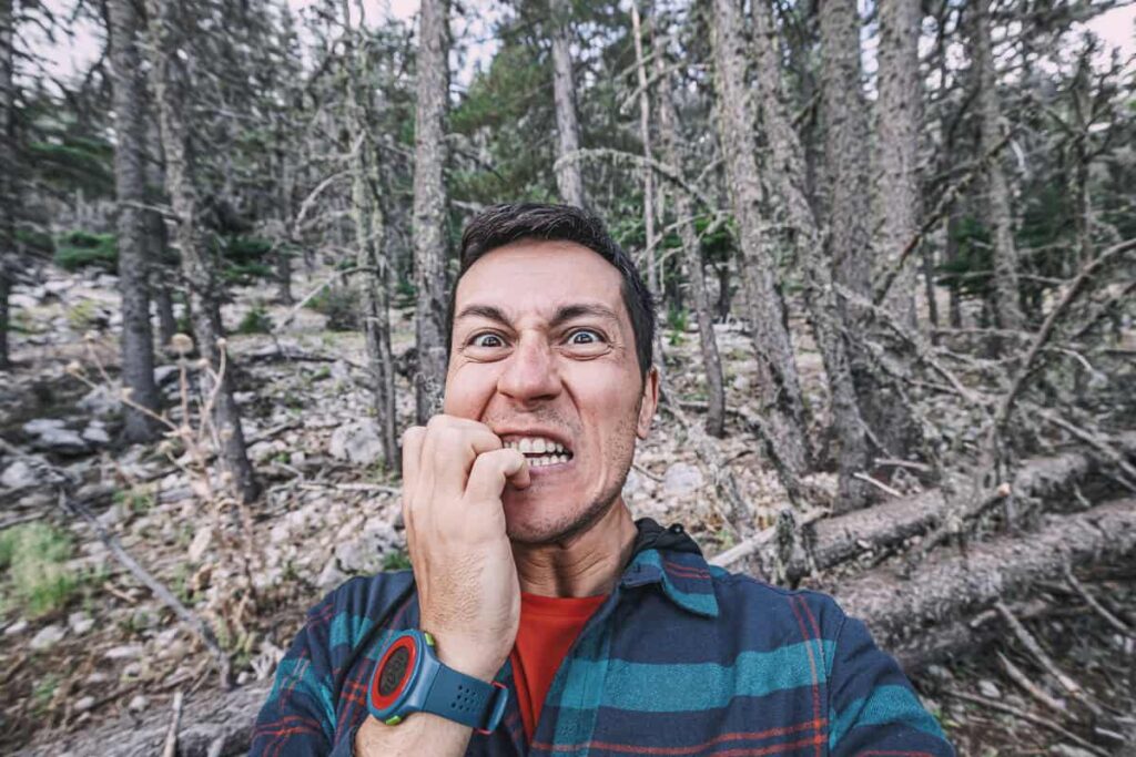 A frightened man bites his nails while walking in the forests of Banff National Park as a cougar approaches.