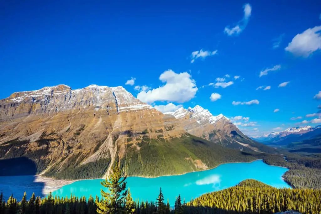 Panoramic view of Peyto Lake under a slightly cloudy blue sky