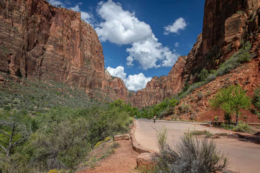 A lonely cyclist seen in the distance between two high cliffs of Zion National Park